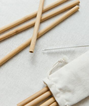 Pailles réutilisables en bambou avec écouvillon